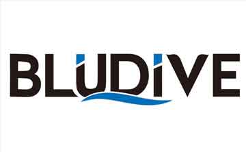 Bludive Logo